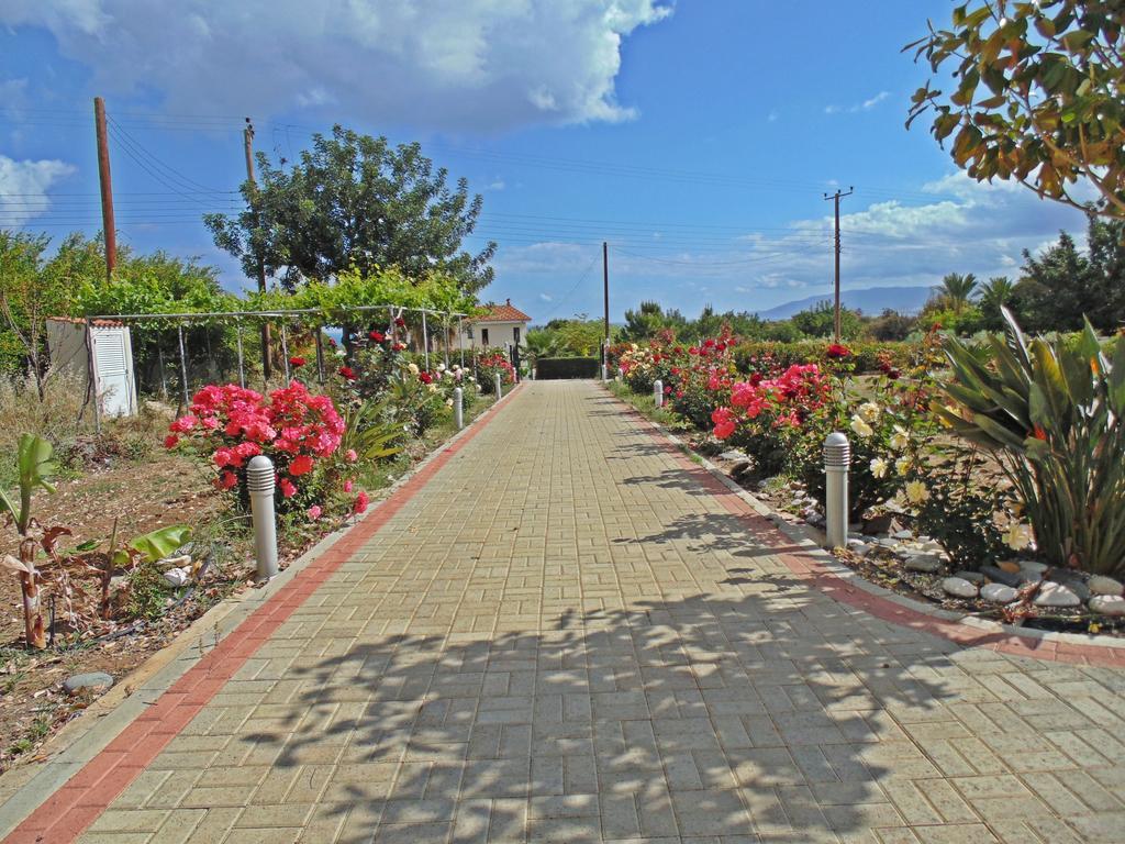 Eliofos Luxury Villa Polis المظهر الخارجي الصورة