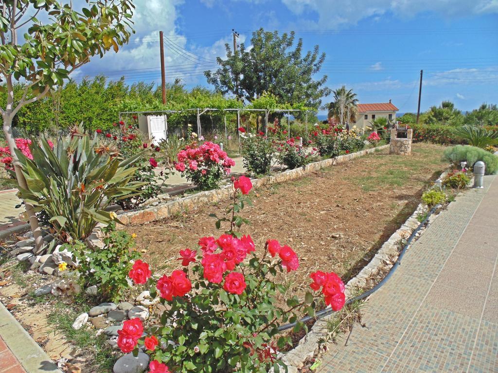 Eliofos Luxury Villa Polis المظهر الخارجي الصورة