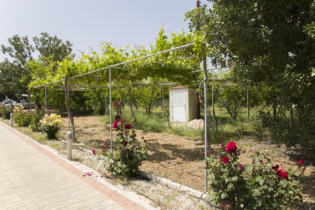 Eliofos Luxury Villa Polis المظهر الخارجي الصورة