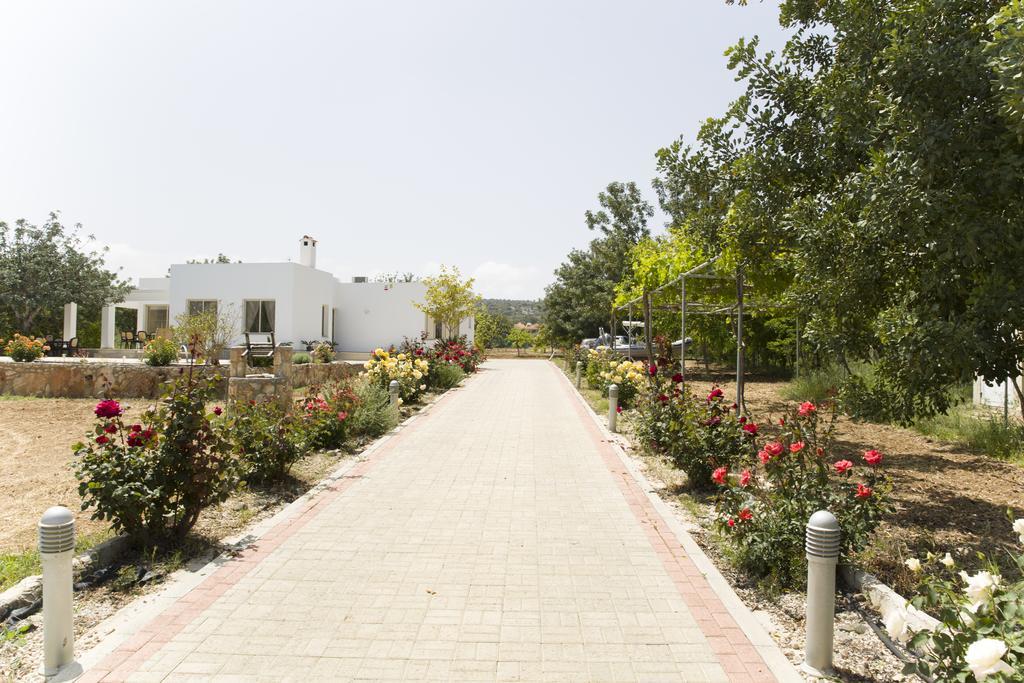 Eliofos Luxury Villa Polis المظهر الخارجي الصورة