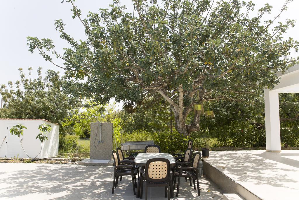 Eliofos Luxury Villa Polis المظهر الخارجي الصورة